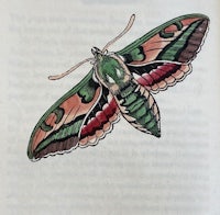 a drawing of a moth on an open book