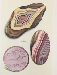 a book with different types of agates