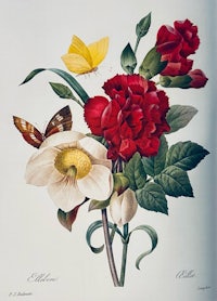 a drawing of a bouquet of flowers and a butterfly