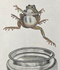 a drawing of a frog jumping out of a pot