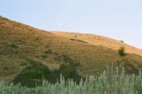 a hill with a lot of grass on it