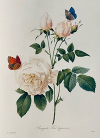 a painting of roses and butterflies